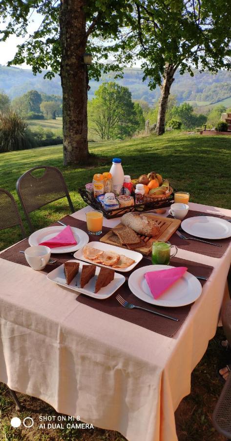 Domaine Les Causeries Laguepie Экстерьер фото